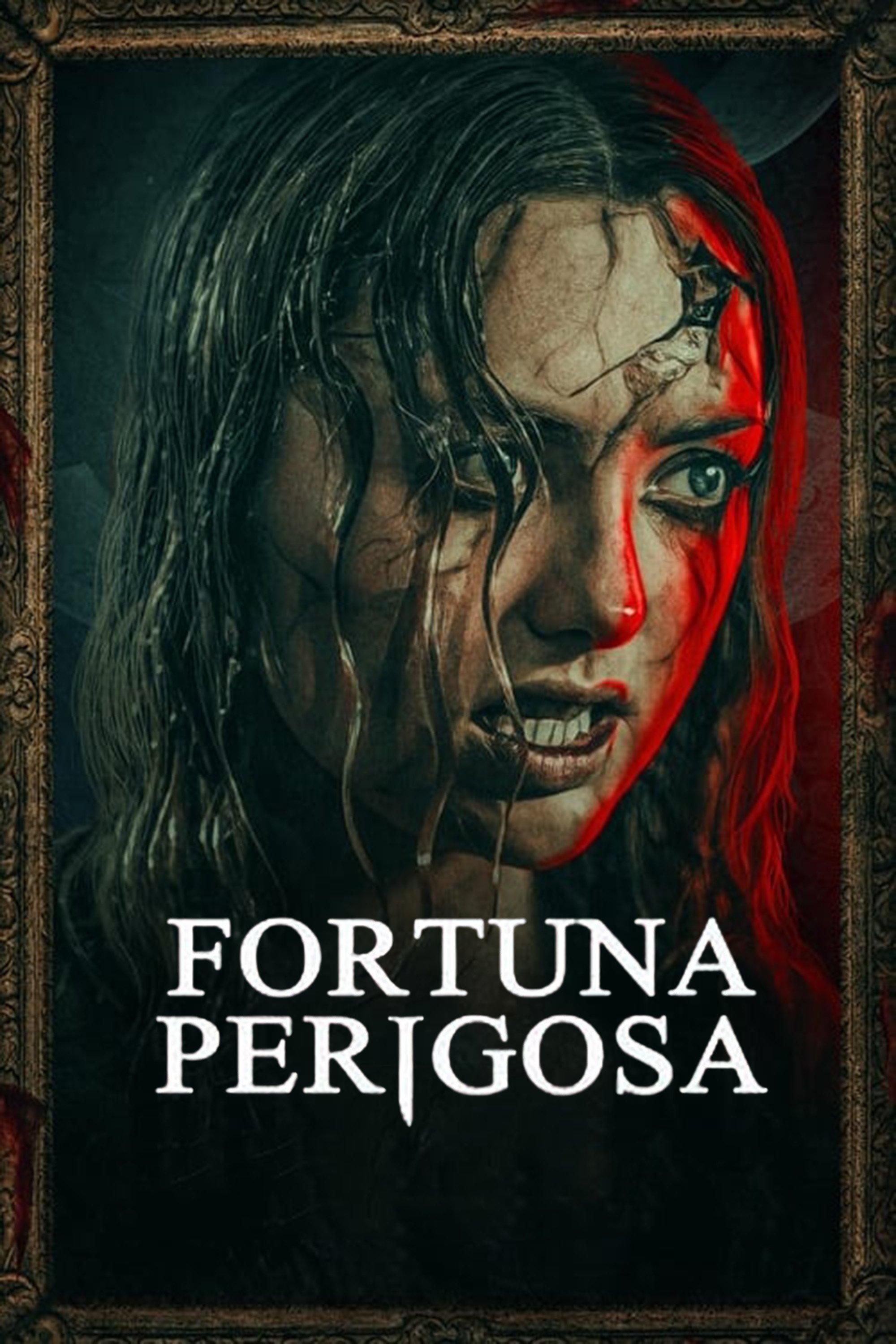 Poster de Fortuna Perigosa