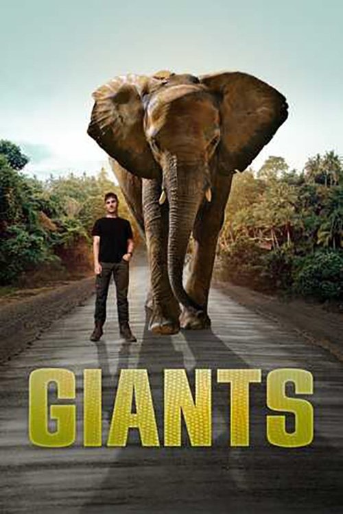 Poster de GIANTS