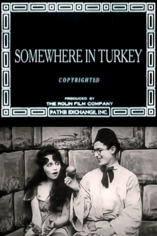 Somewhere in Turkey Poster