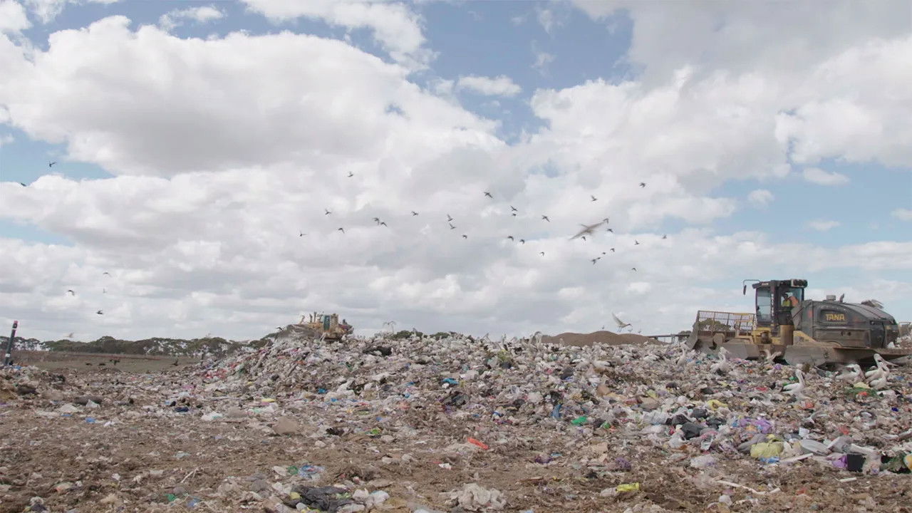 Commercial Food Waste