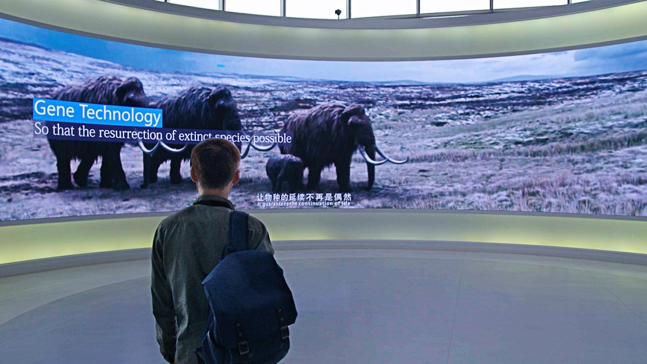 Backdrop image