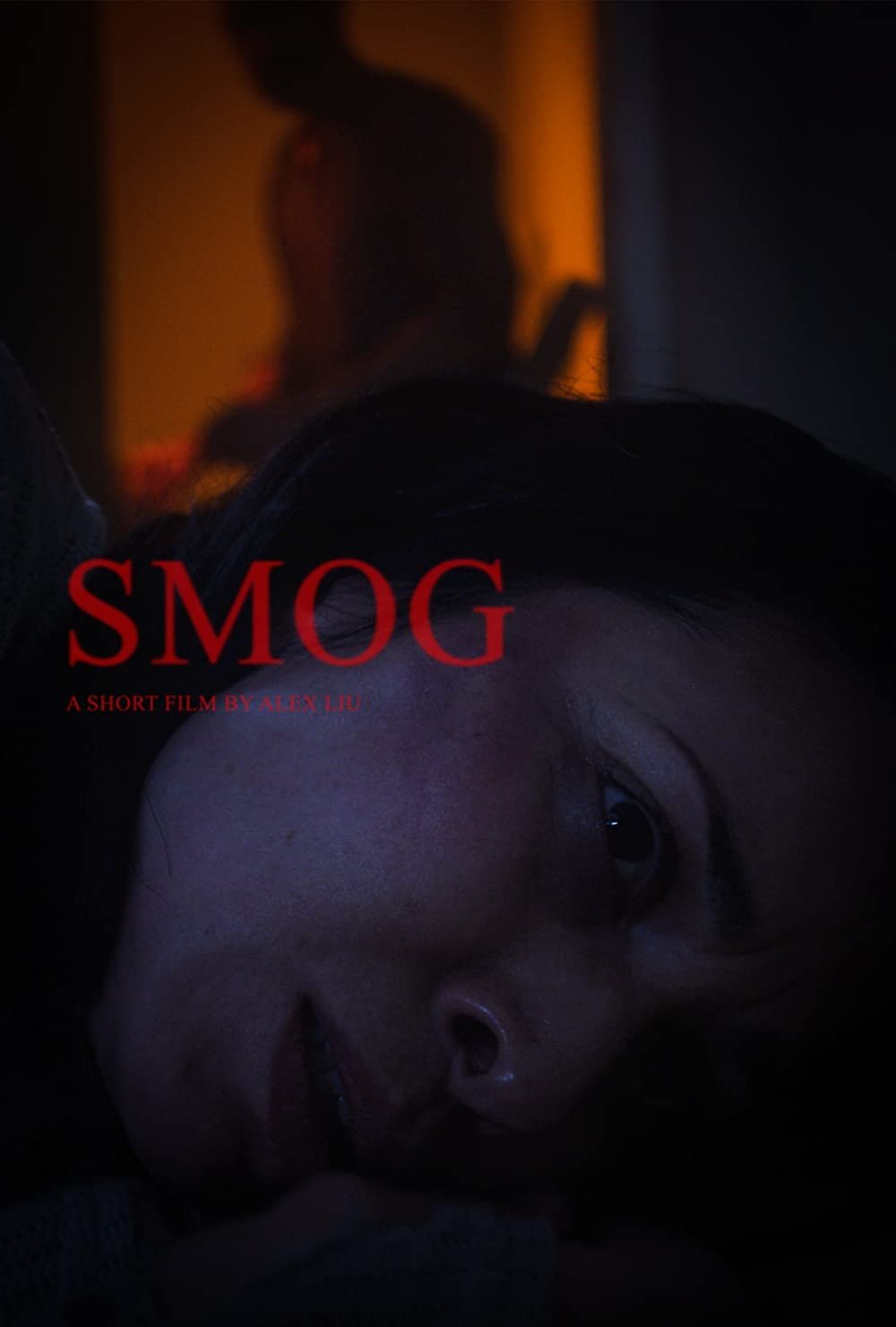 Poster de Smog