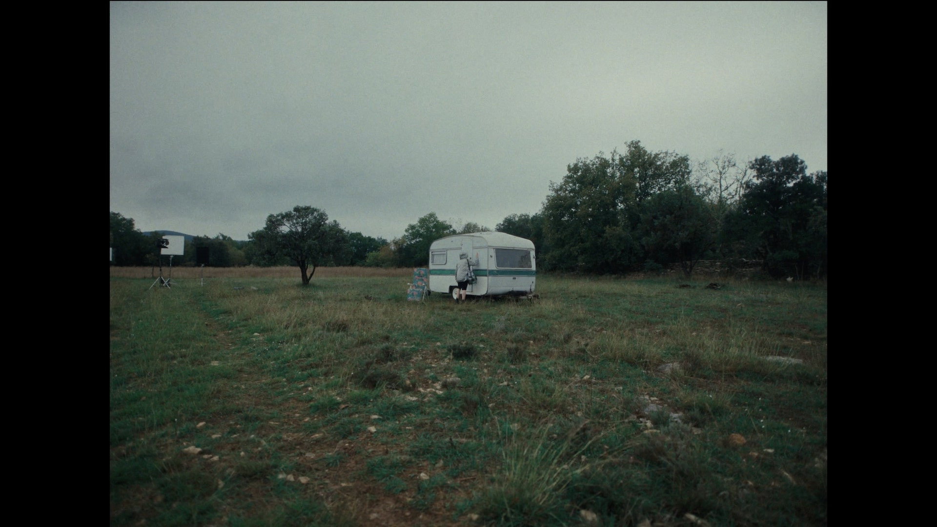 Director