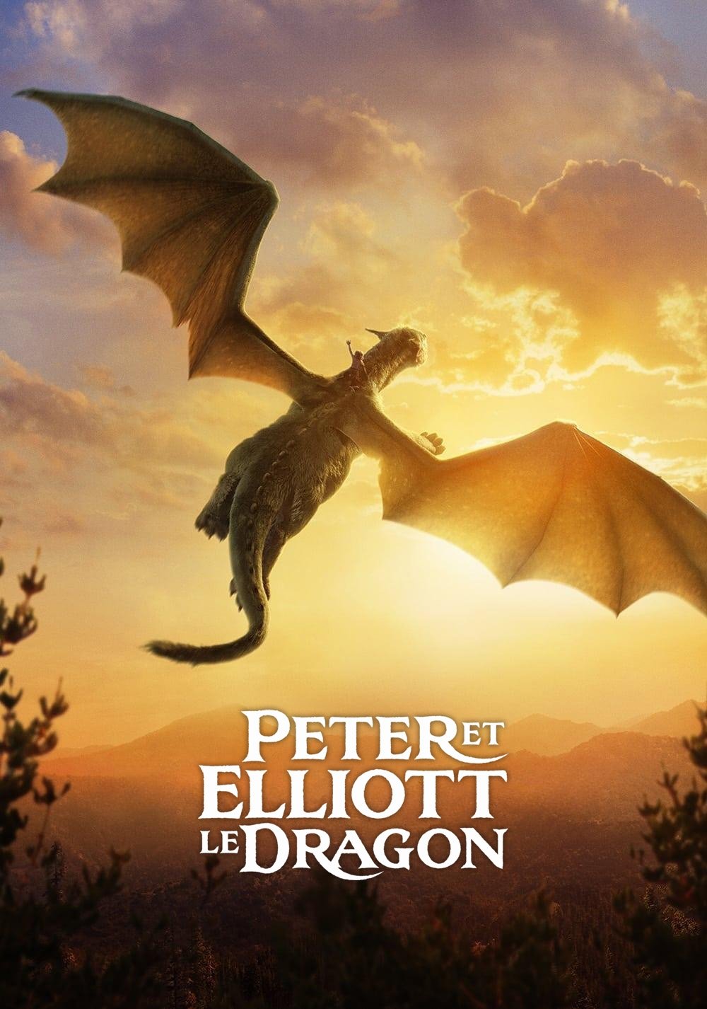 Affiche du film Pete's Dragon