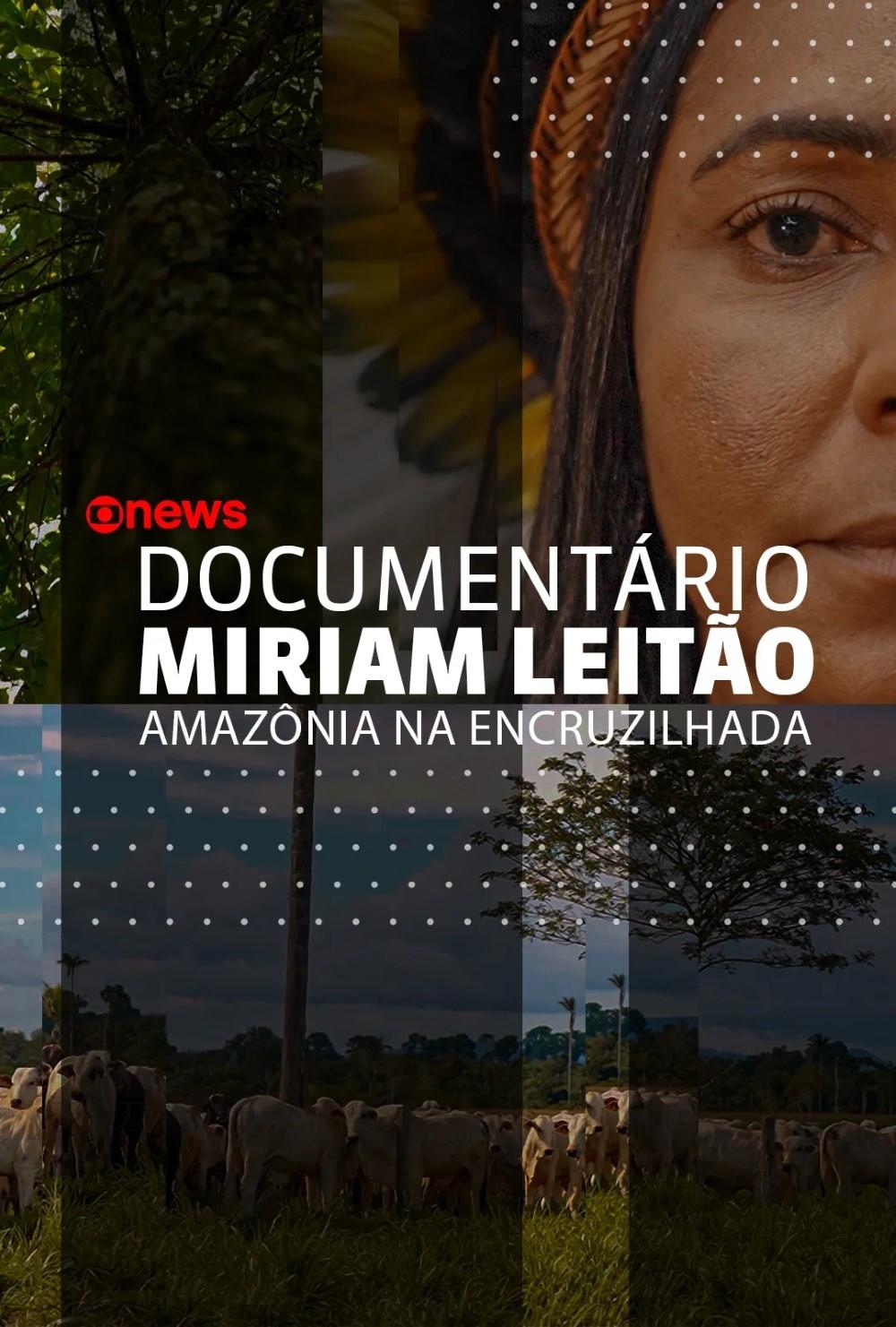 Poster de Amazônia na Encruzilhada