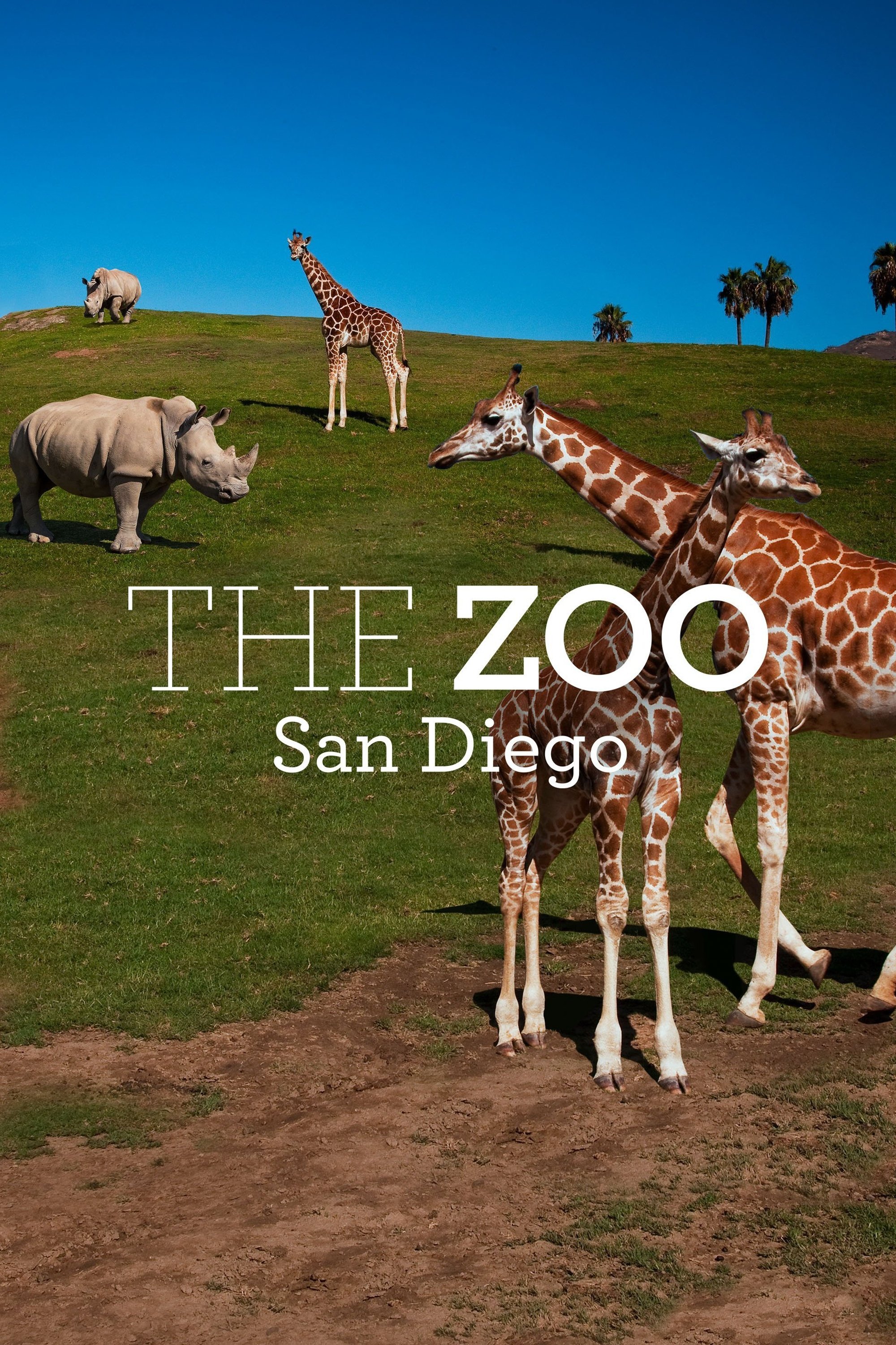 Poster de The Zoo: San Diego