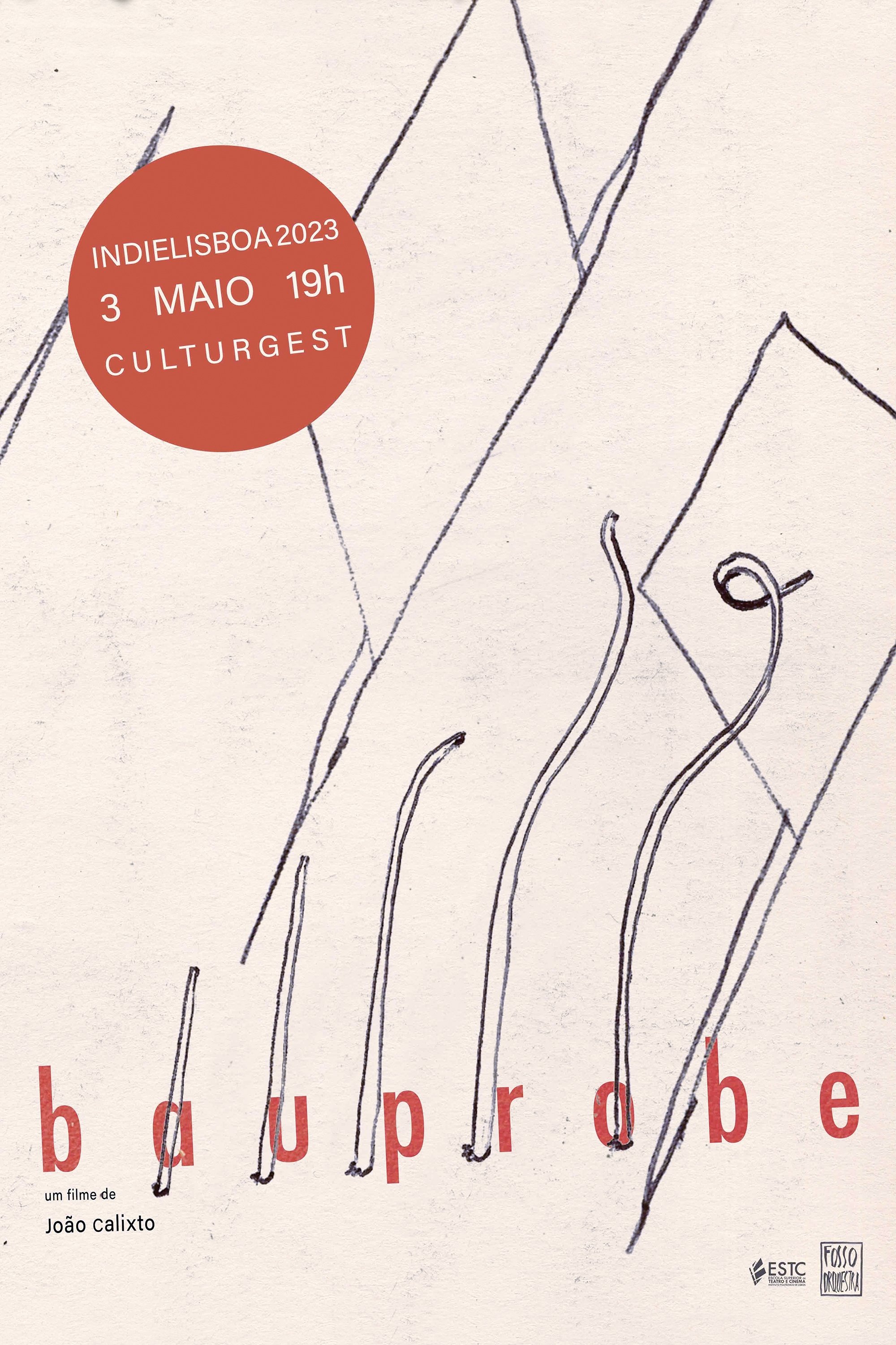 Poster de BAUPROBE