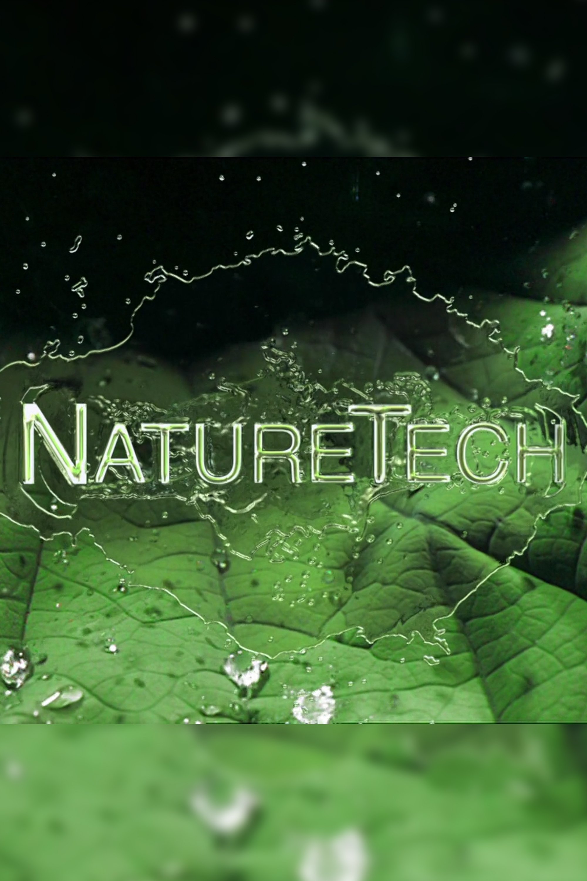Poster de Bionik - Das Genie der Natur