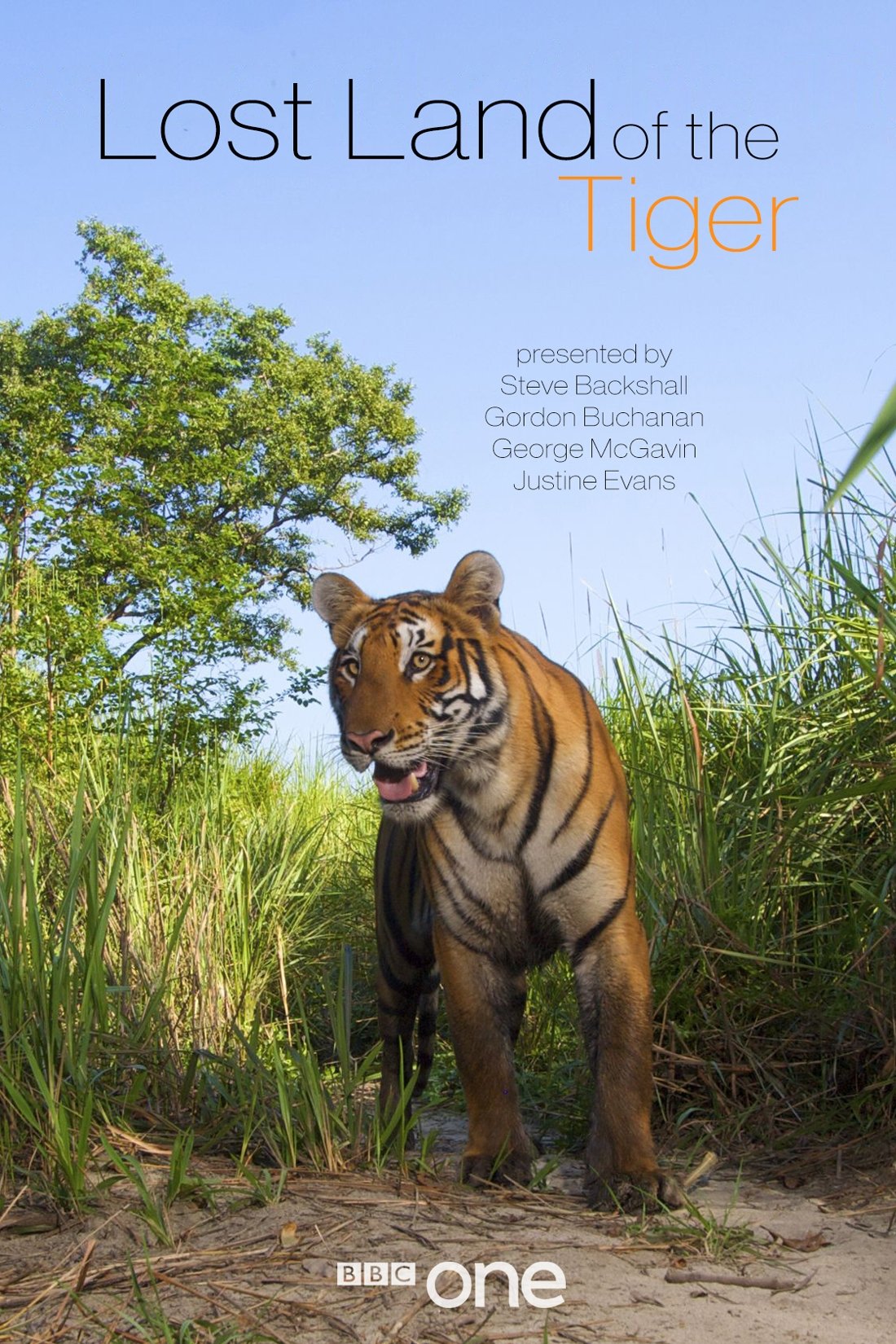 Poster de Lost Land of the Tiger