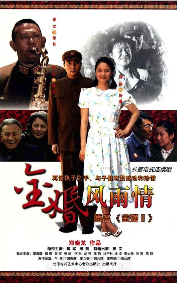 Poster de 金婚·风雨情