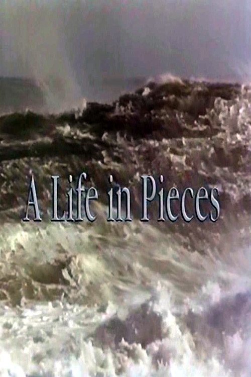 Poster de A Life In Pieces
