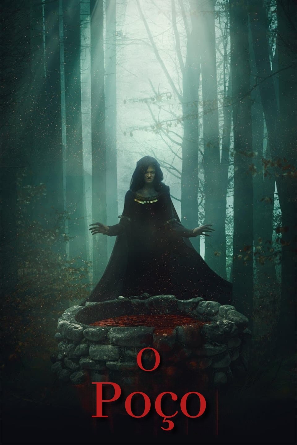 Poster de O Poço