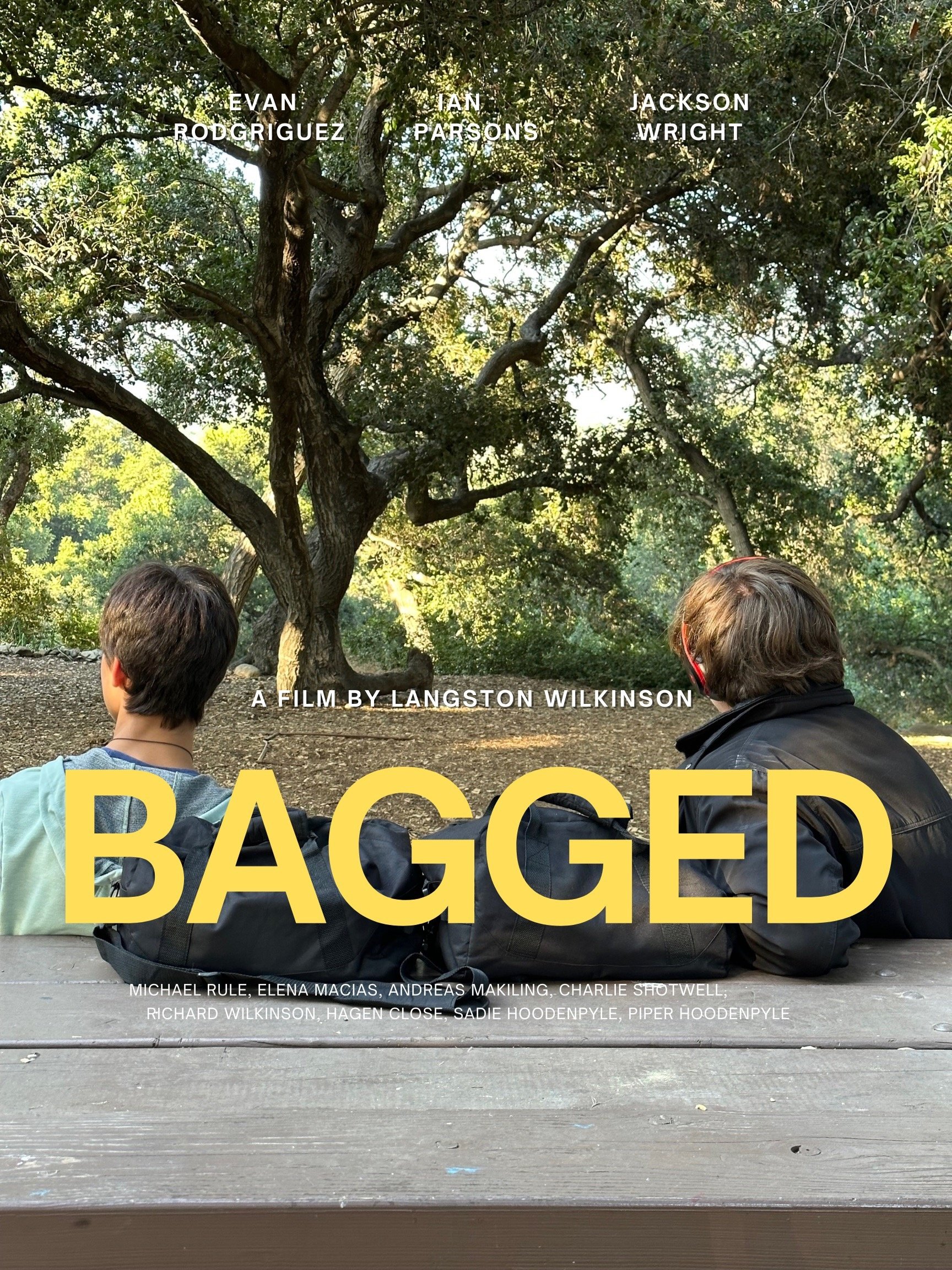 Poster de Bagged