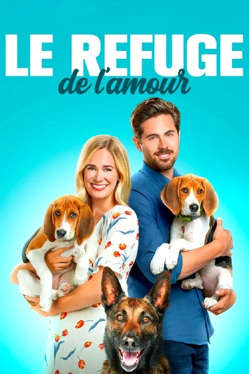 Affiche du film Le refuge de l'amour
