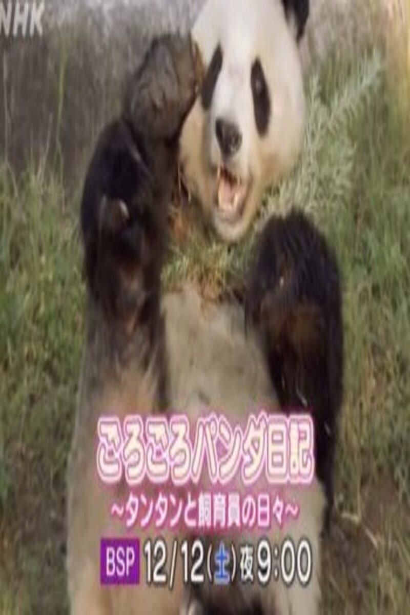 Poster de ごろごろパンダ日記