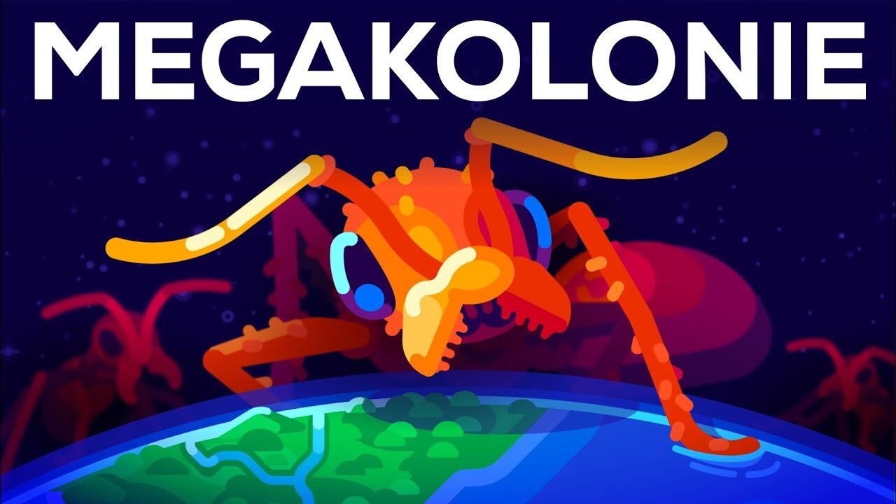 The Billion Ant Mega Colony and the Biggest War on Earth