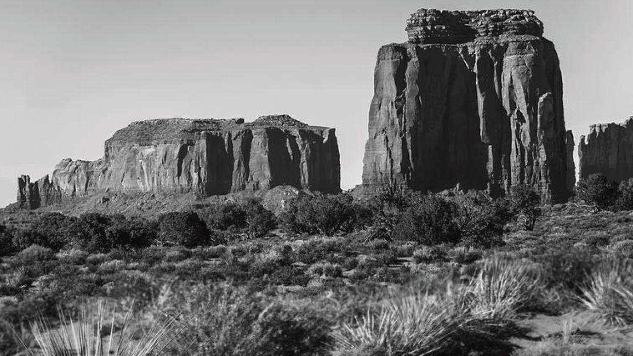 The Rise and Fall of the Wild West