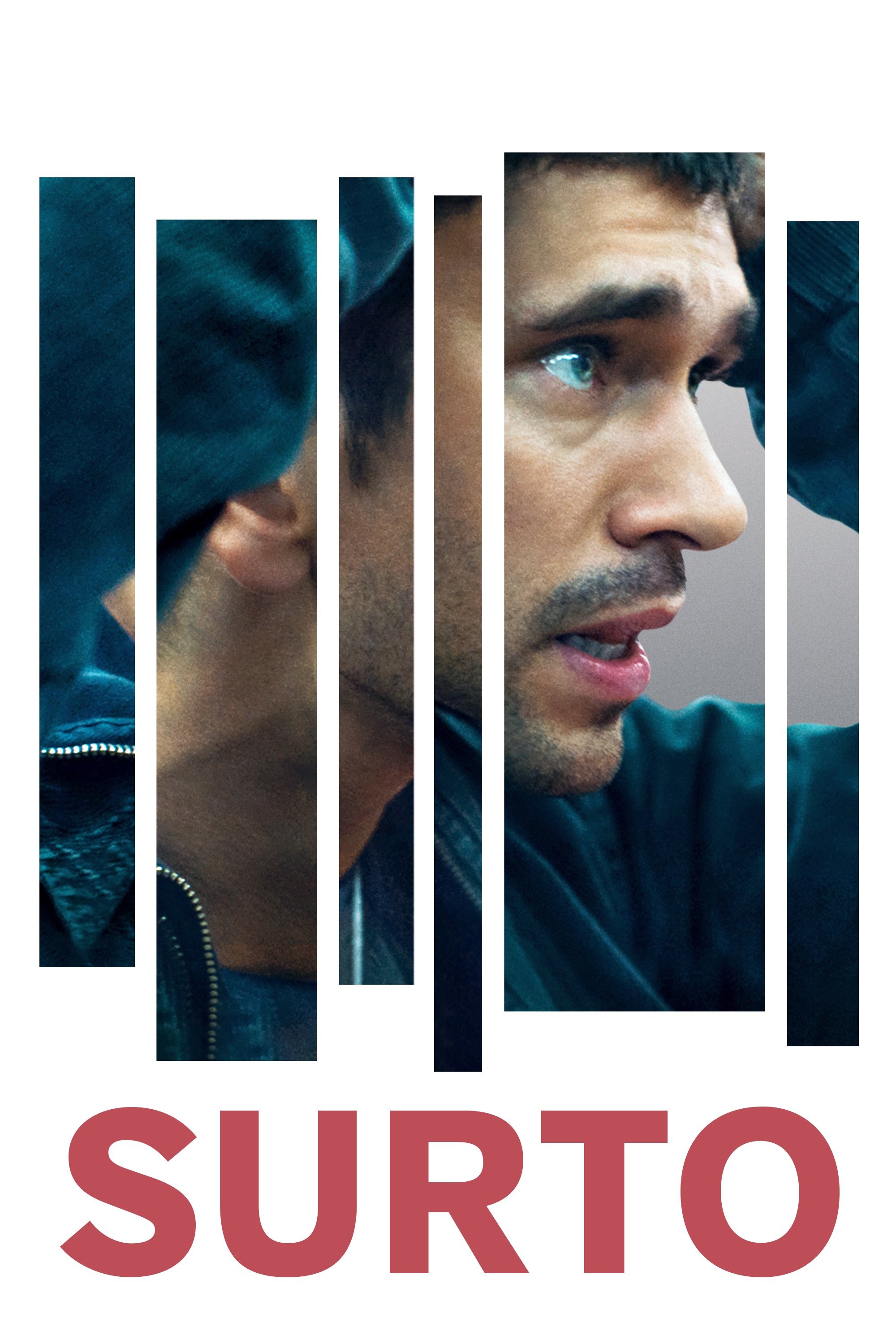 Poster de Surto