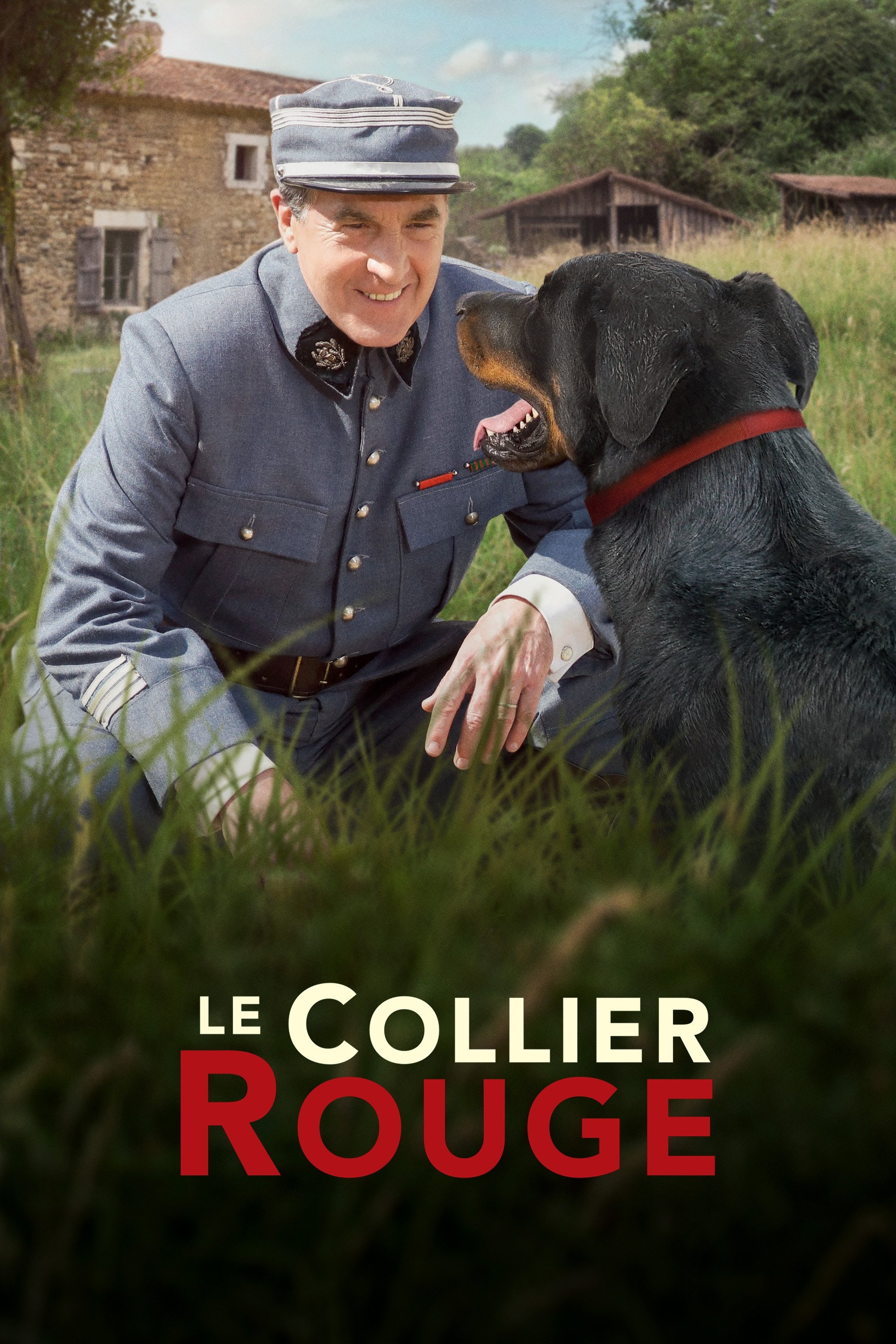 Affiche du film Le Collier rouge