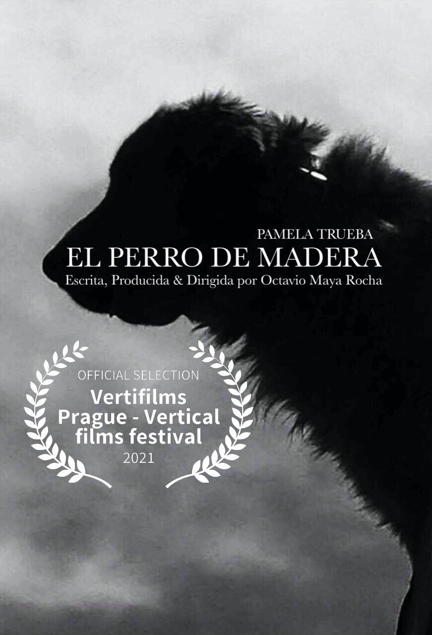 Poster de El Perro De Madera