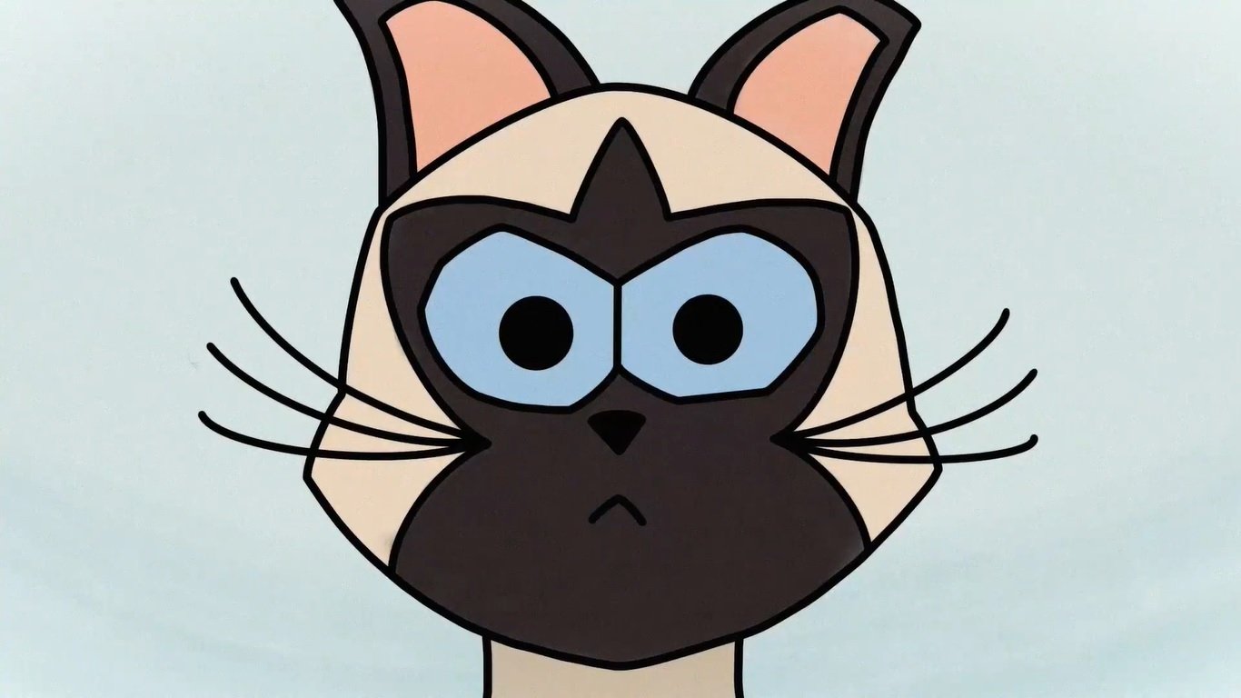 Braulio, The Cat