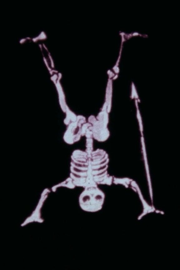 Poster de Les lanternes magiques