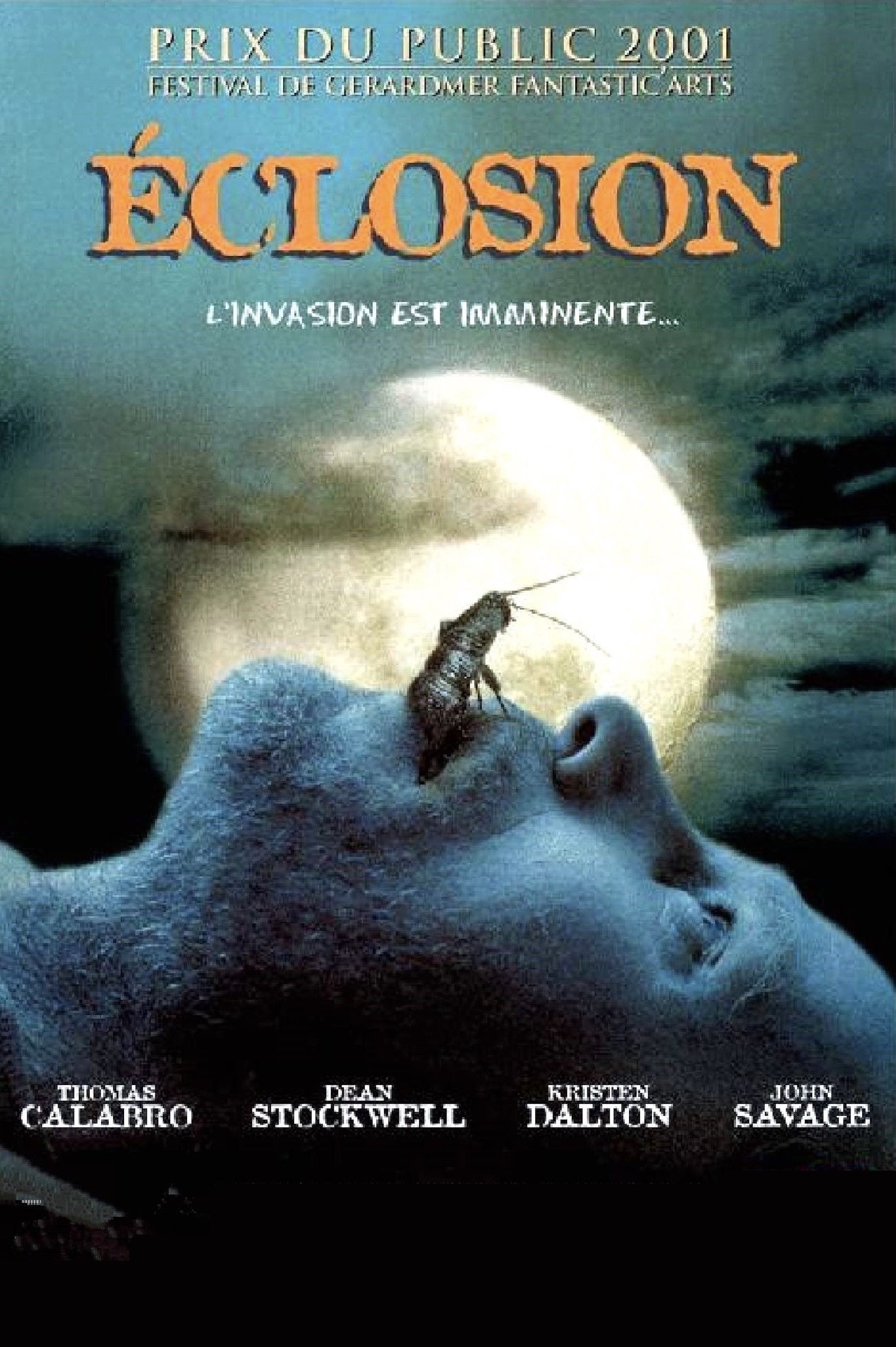 Affiche du film They Nest