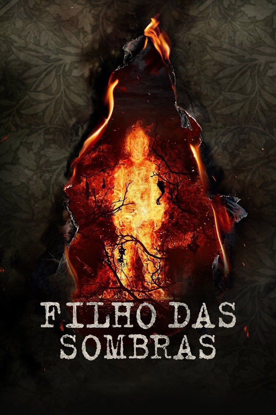 Poster de Filho das Sombras