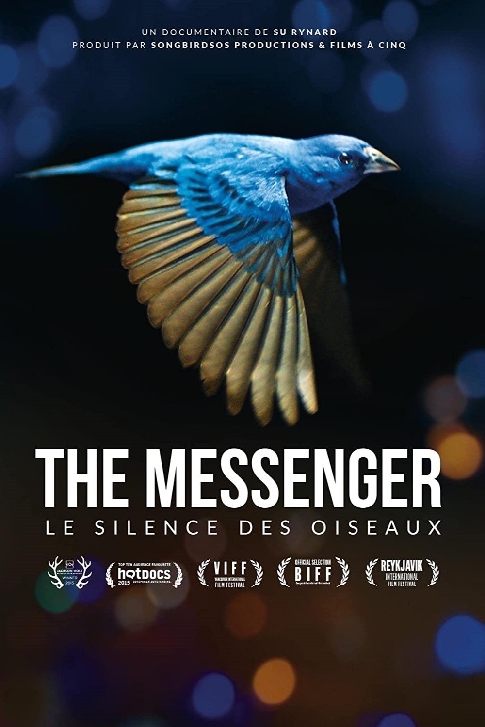 Poster de Le Silence des oiseaux
