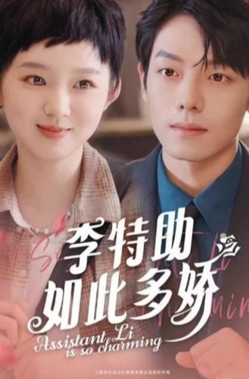 Poster de 李特助如此多娇