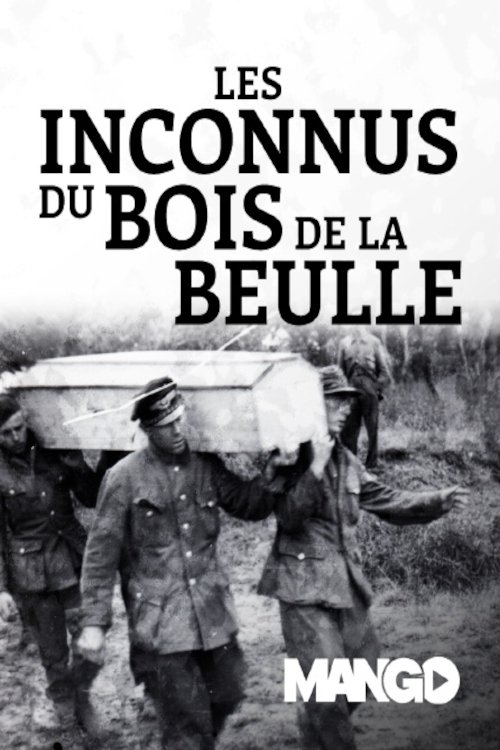 Poster de Les Inconnus du bois de la Reulle