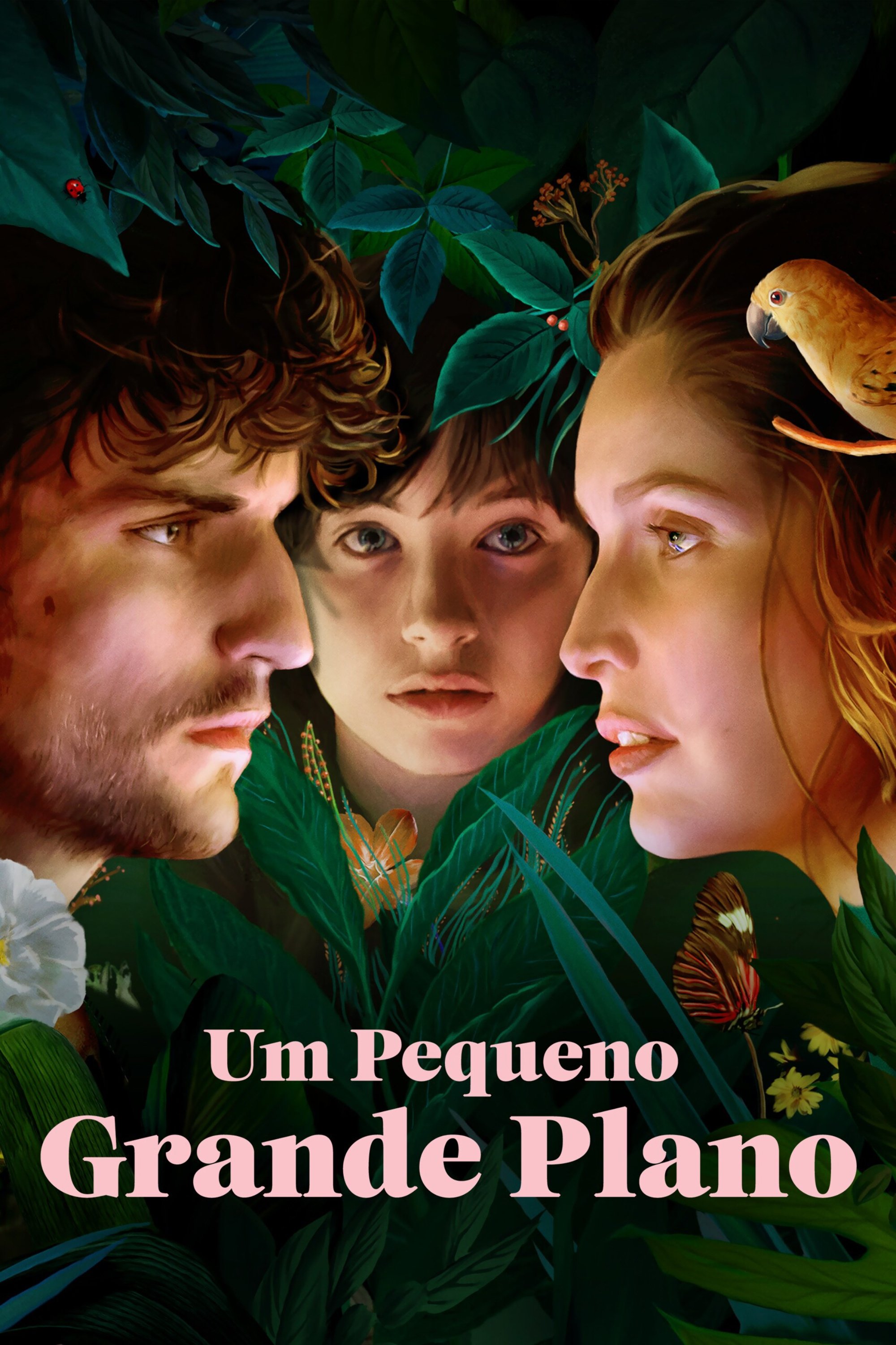 Poster de Um Pequeno Grande Plano