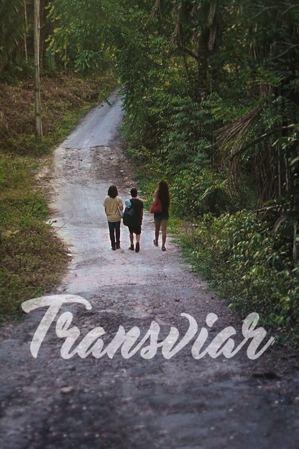 Poster de Transviar