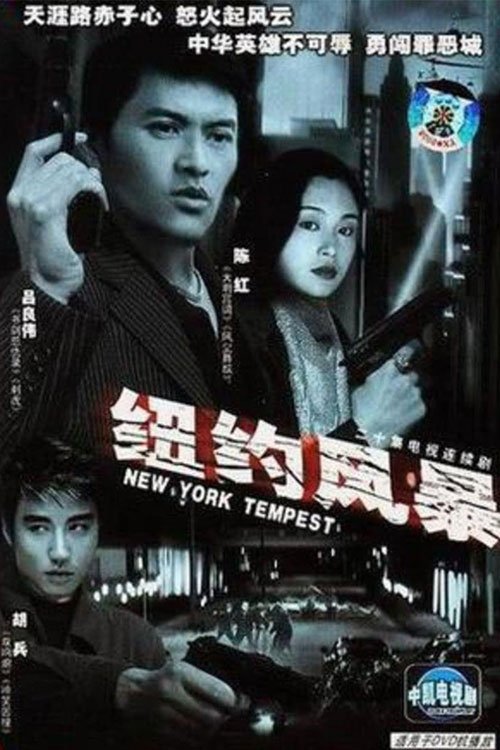 Poster de 纽约风暴