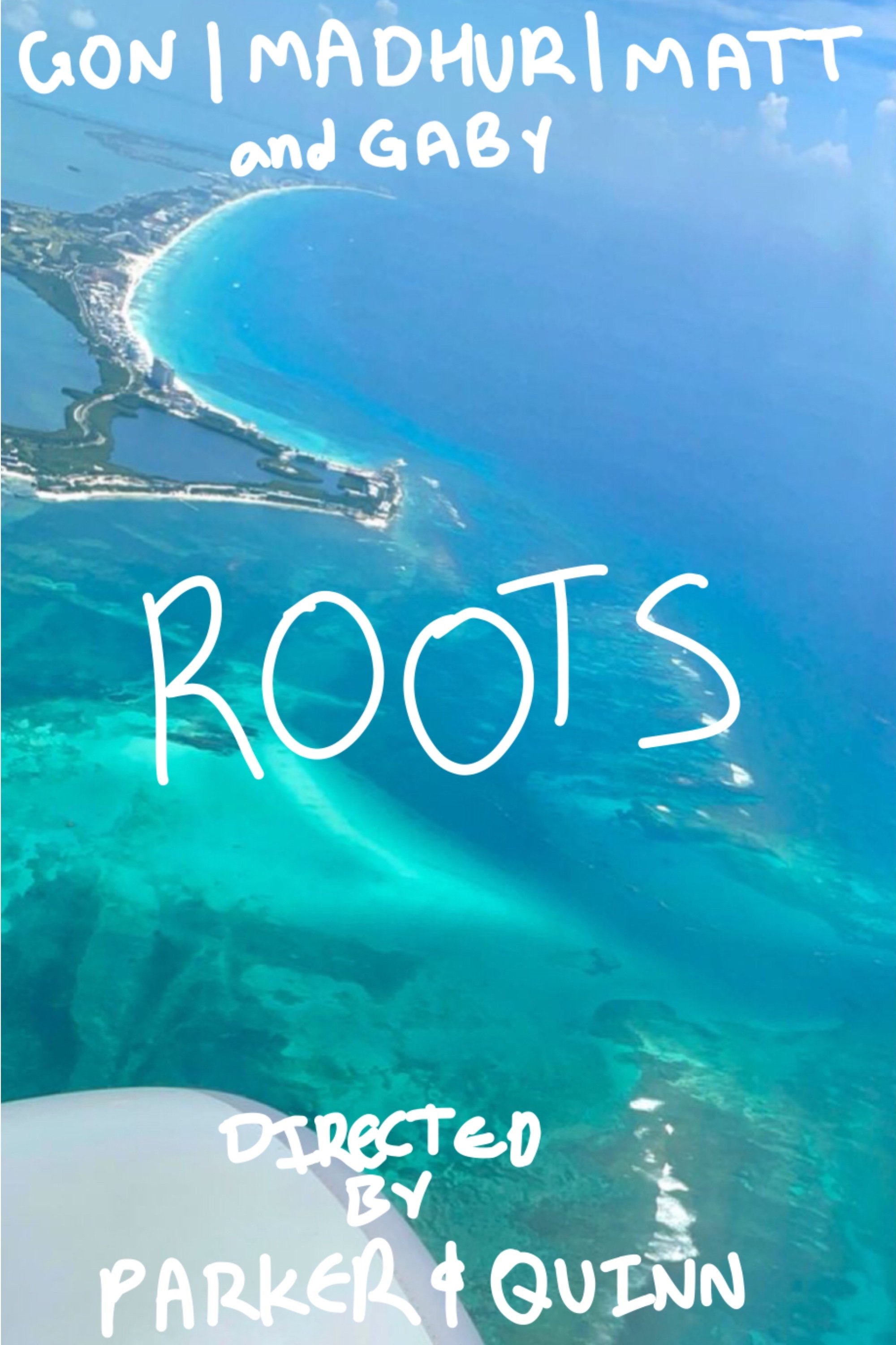 Poster de Roots
