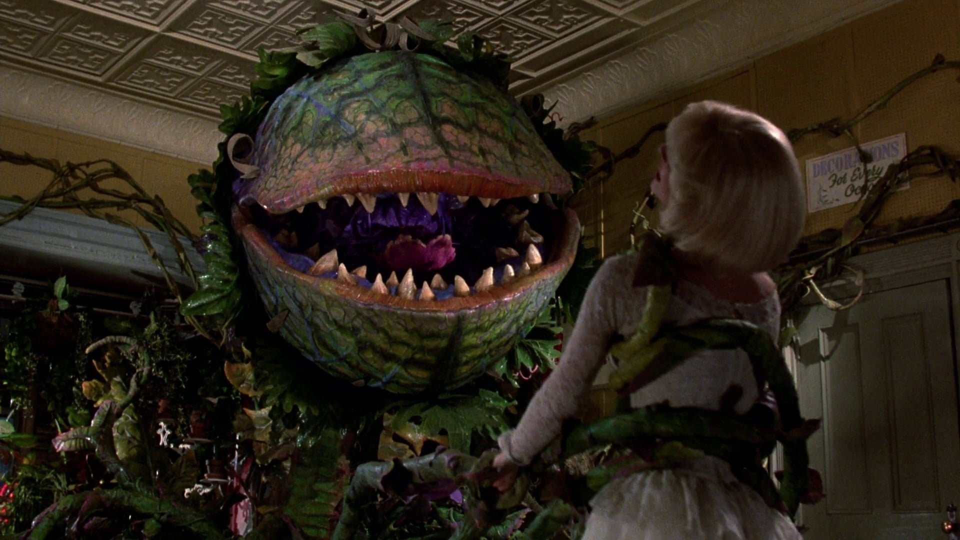 Little Shop of Horrors 1986 Soap2Day