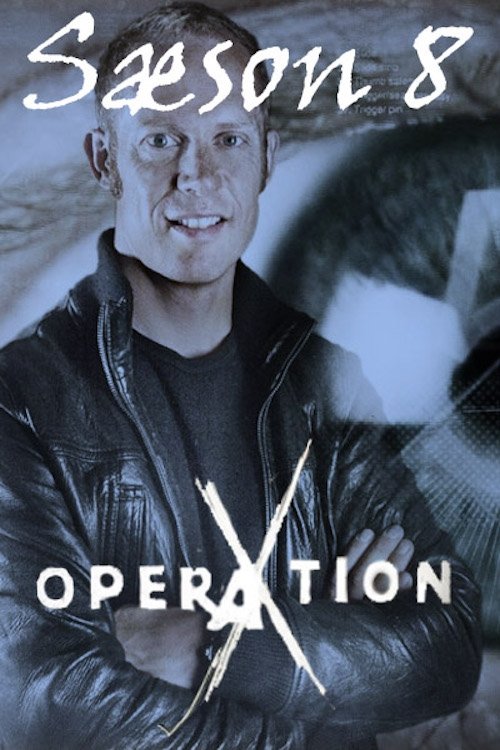 Poster de Temporada 8