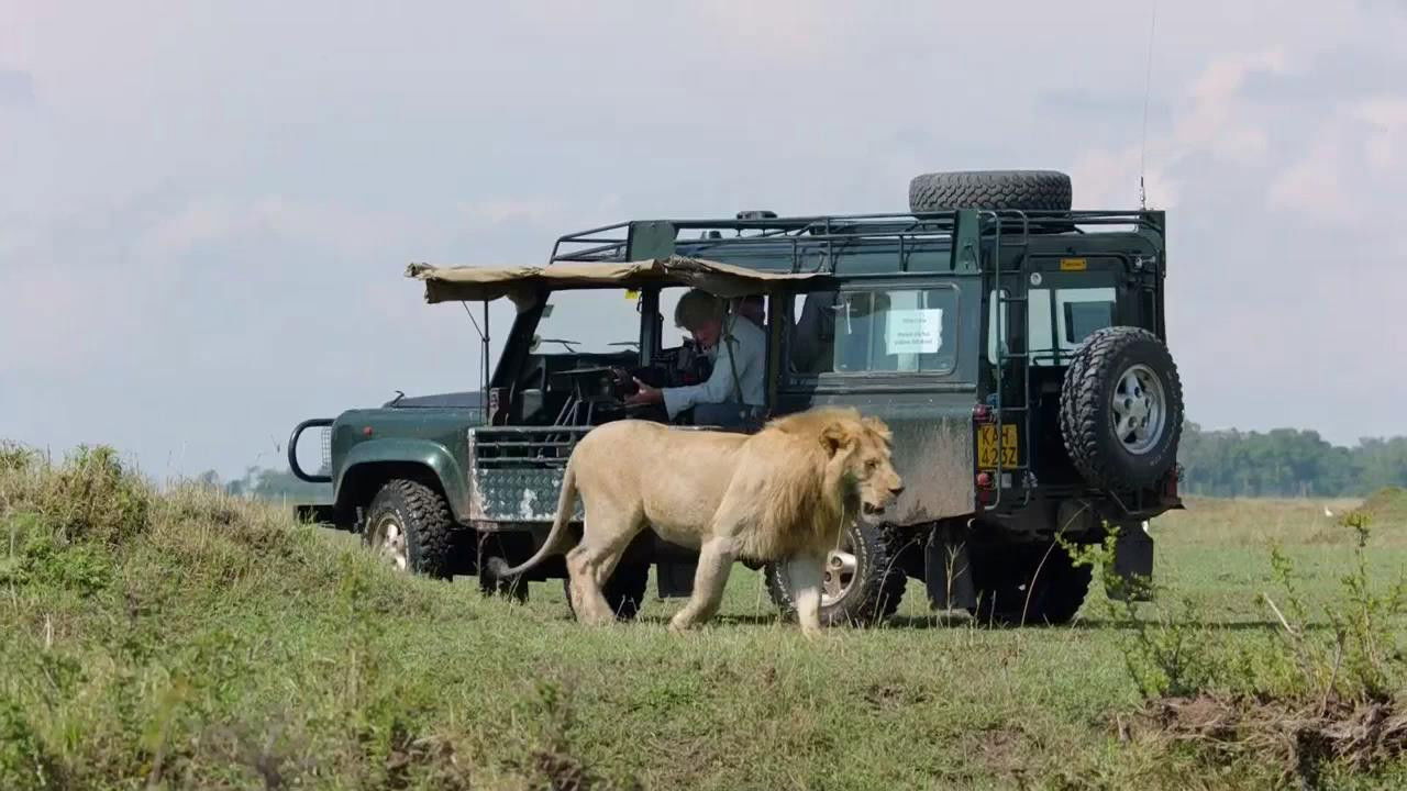 The Making of Dynasties