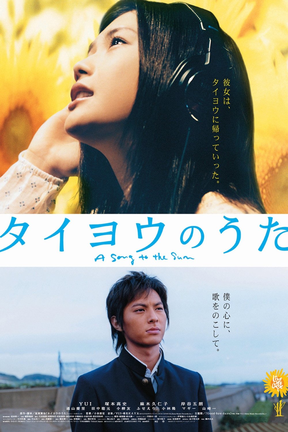 Affiche du film タイヨウのうた