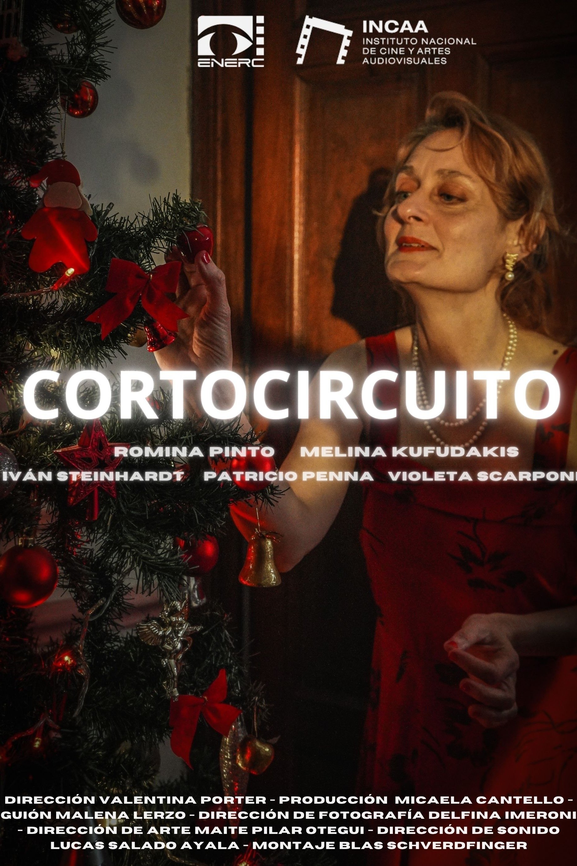 Poster de Cortocircuito