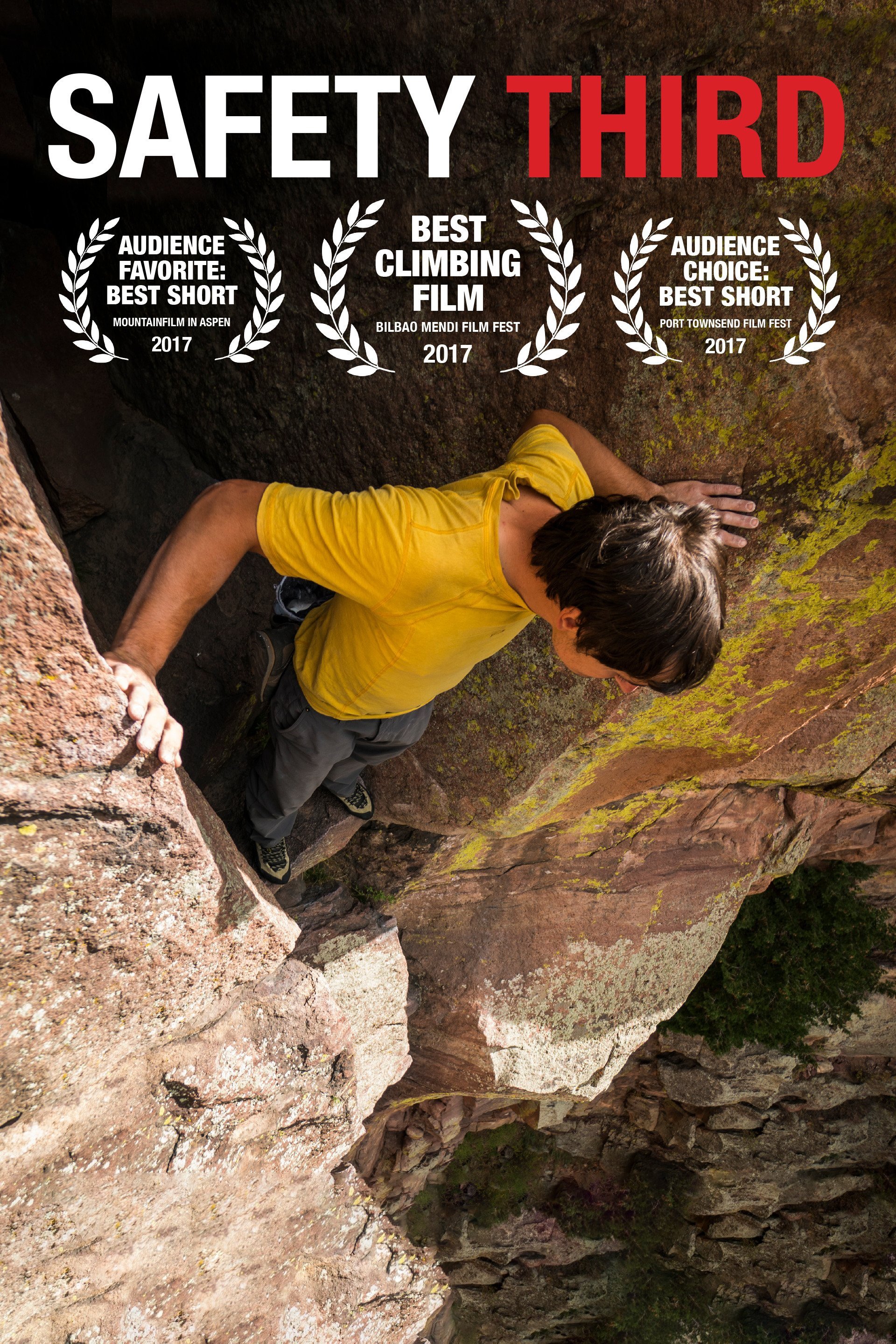 Poster de Safety Third
