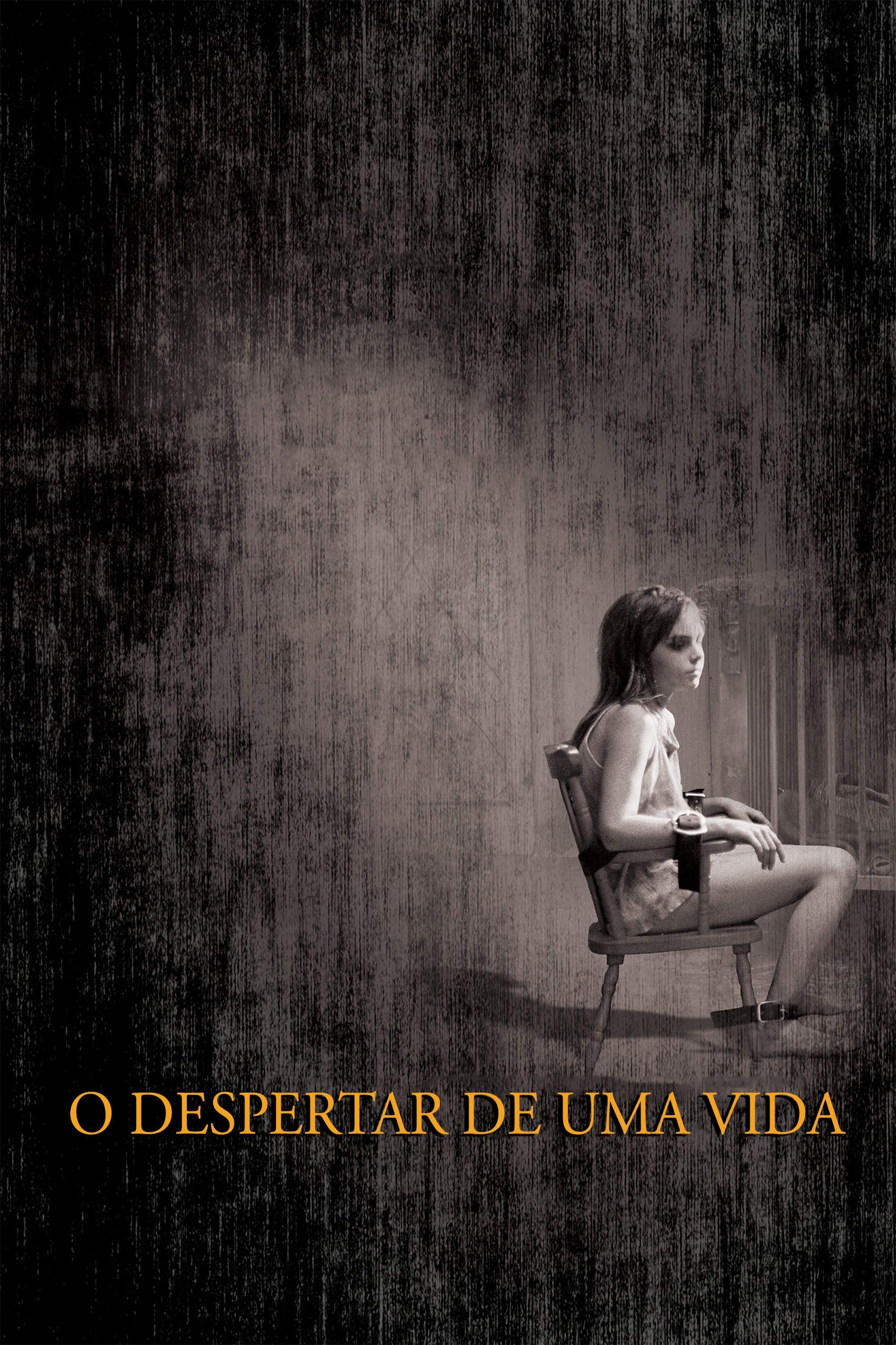 Poster de O Despertar de Uma Vida