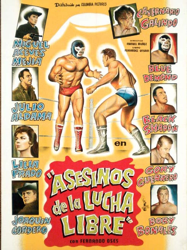 Poster de Asesinos de la lucha libre