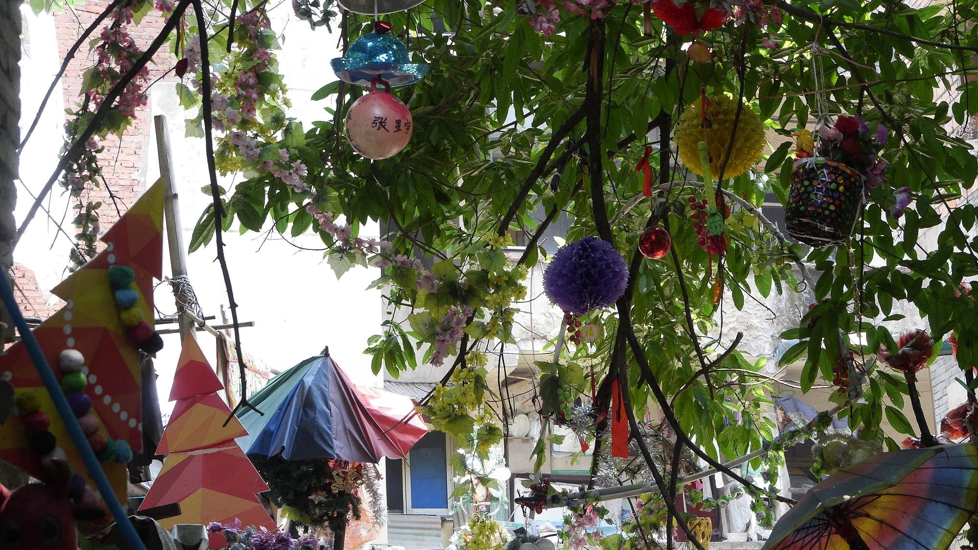Ms. Hu's Garden