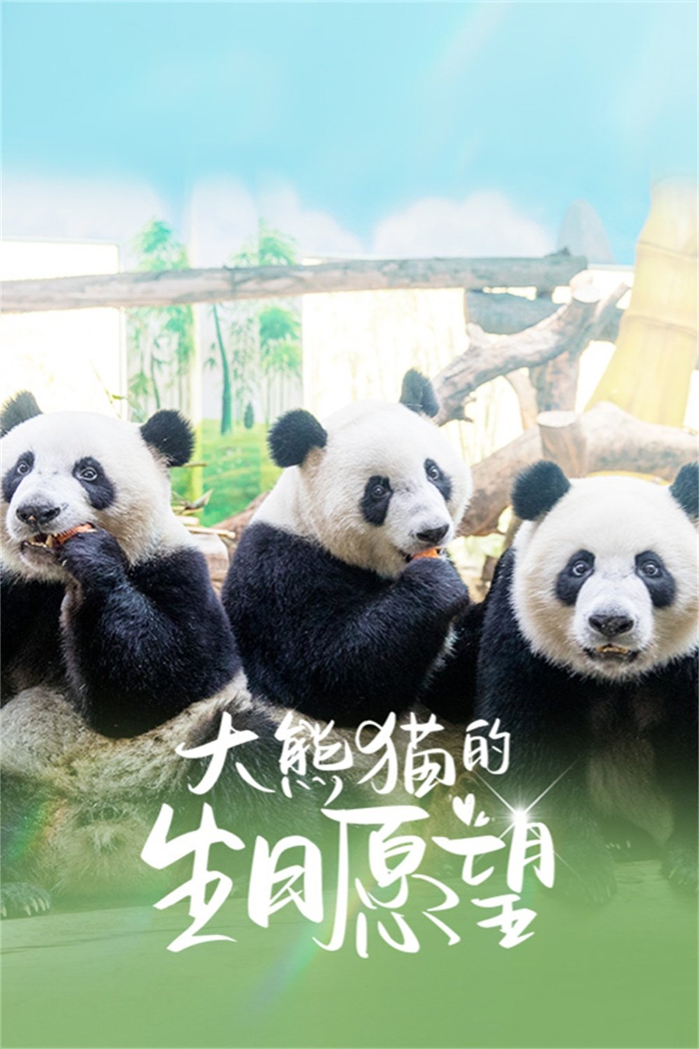 Poster de 大熊猫的生日愿望