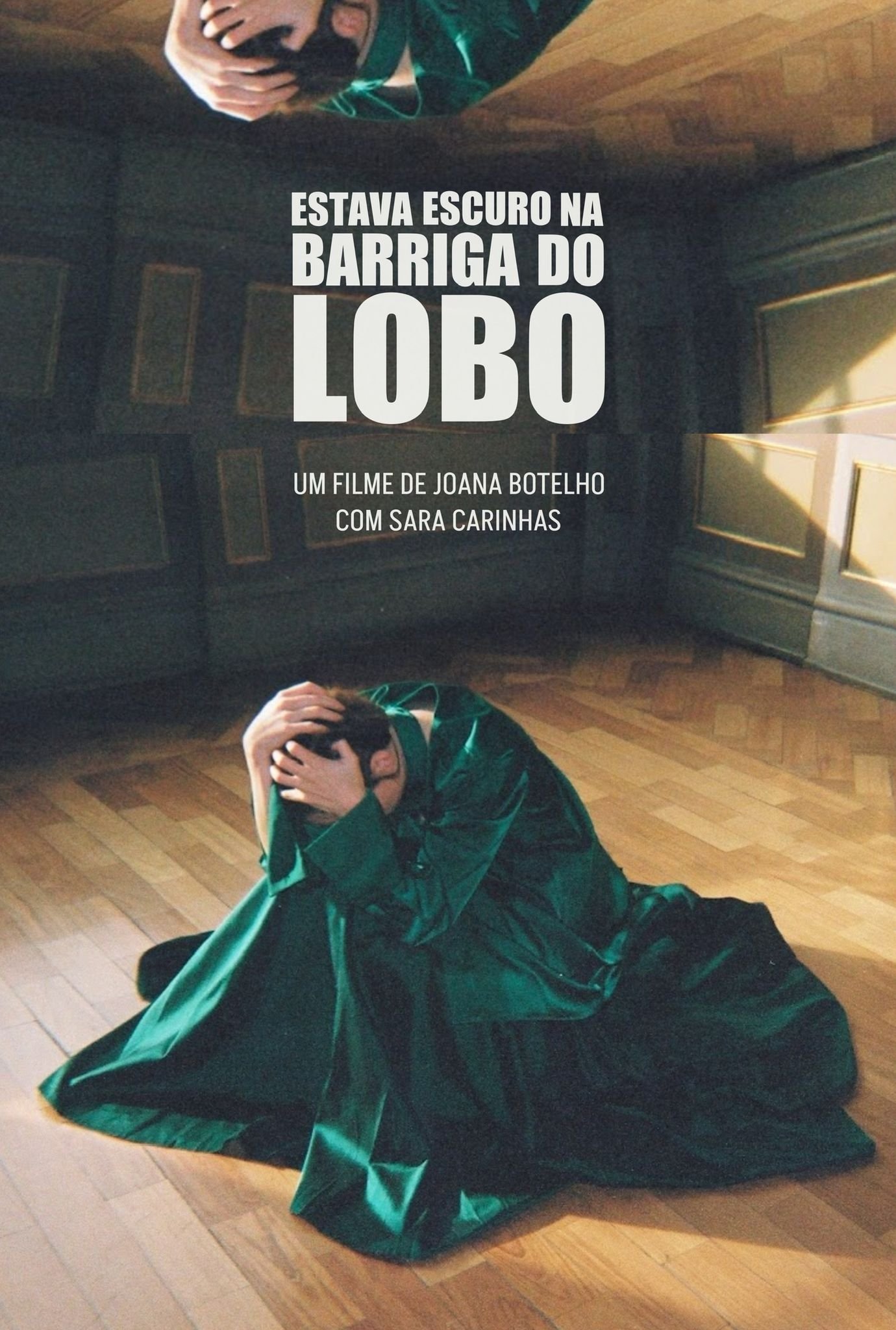 Poster de Estava Escuro na Barriga do Lobo