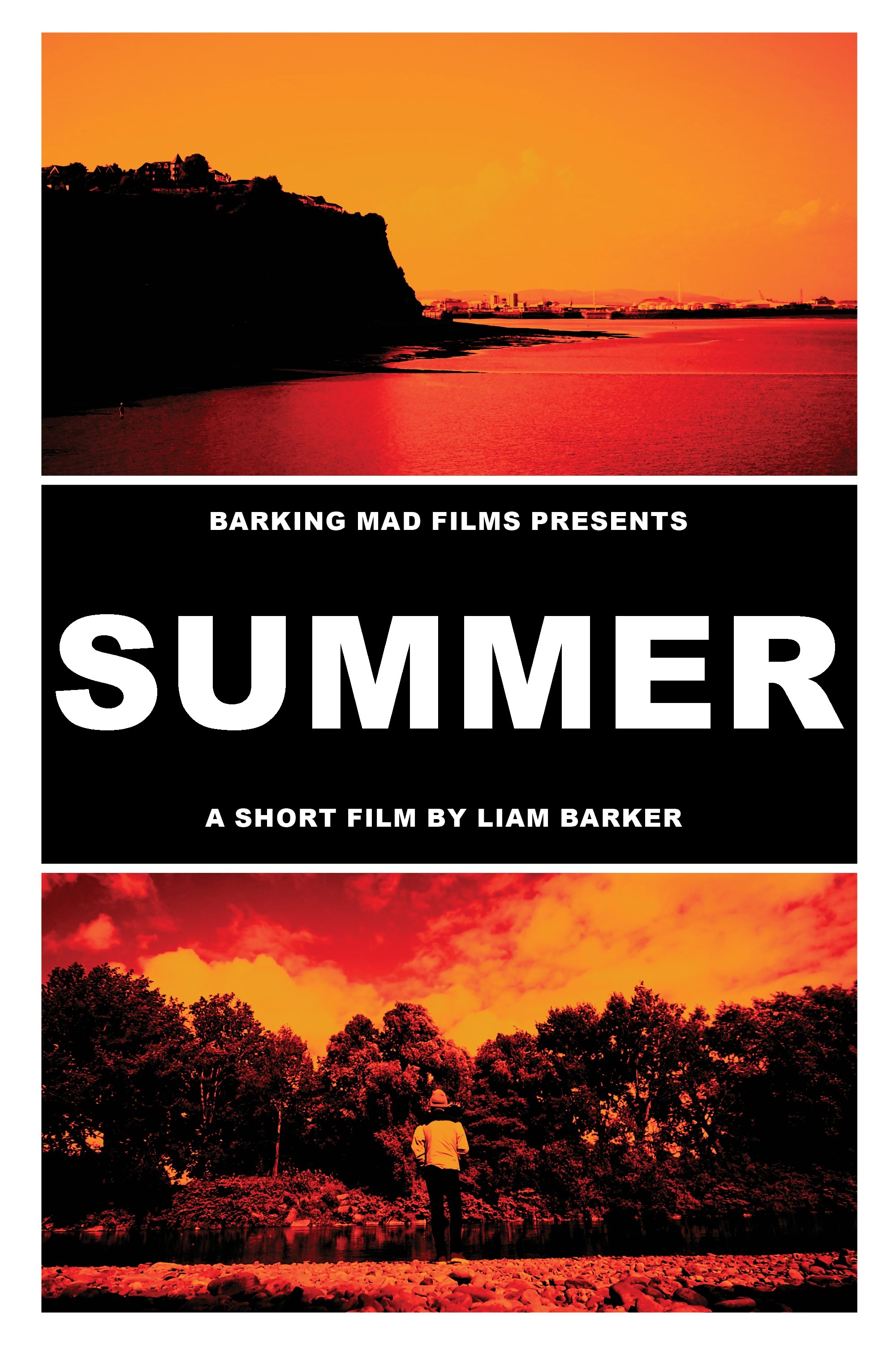 Poster de SUMMER