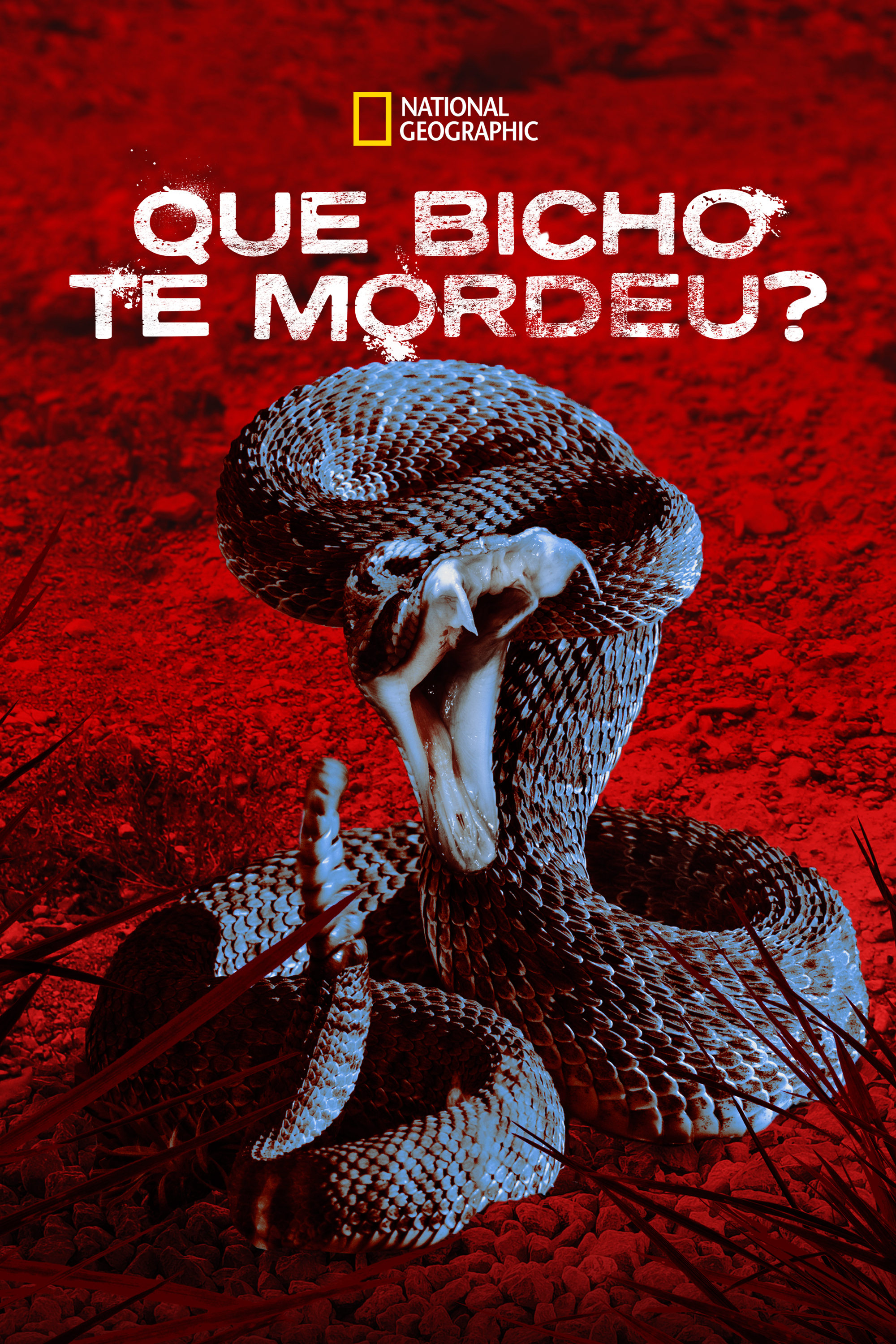 Poster de Que Bicho te Mordeu?
