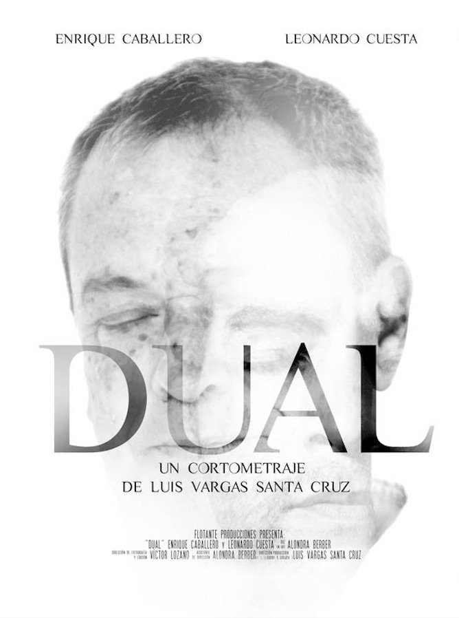Poster de Dual