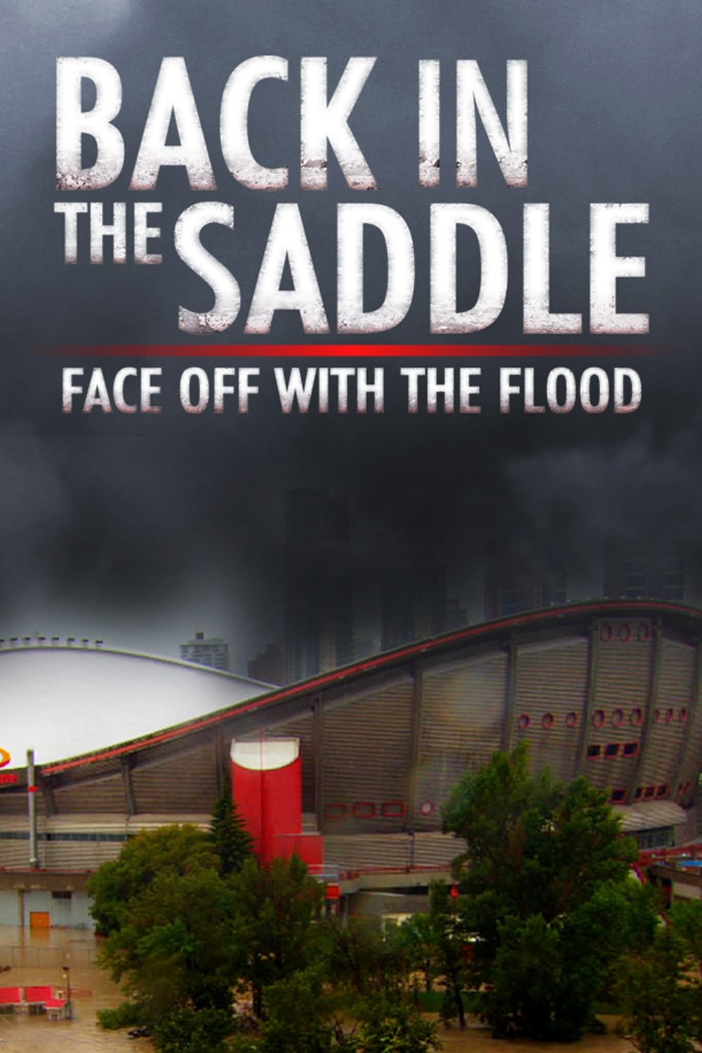 Poster de Back in the Saddle: Face Off with the Flood